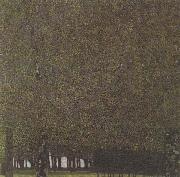 Gustav Klimt, The Park (mk20)